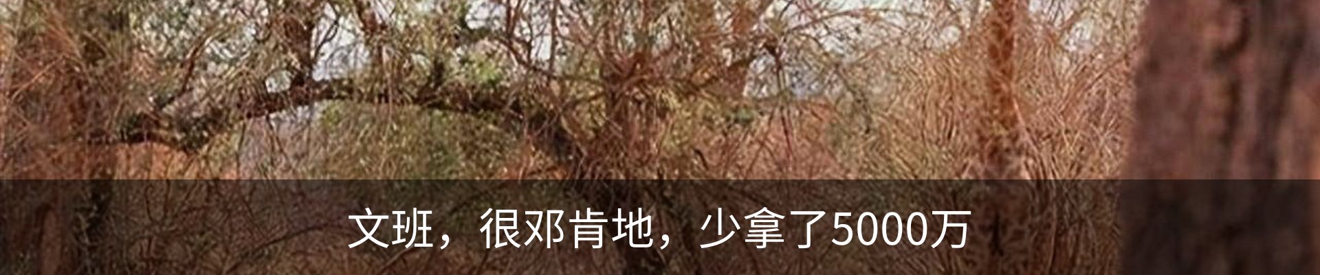 内页banner