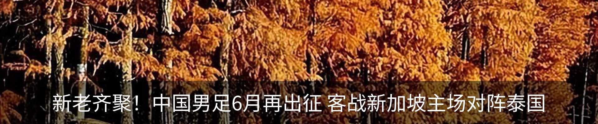 内页banner