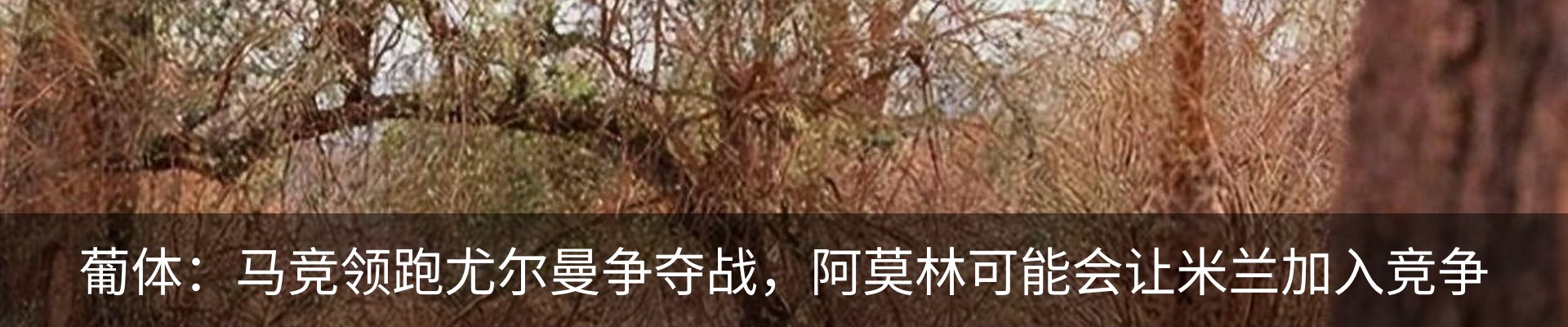 内页banner