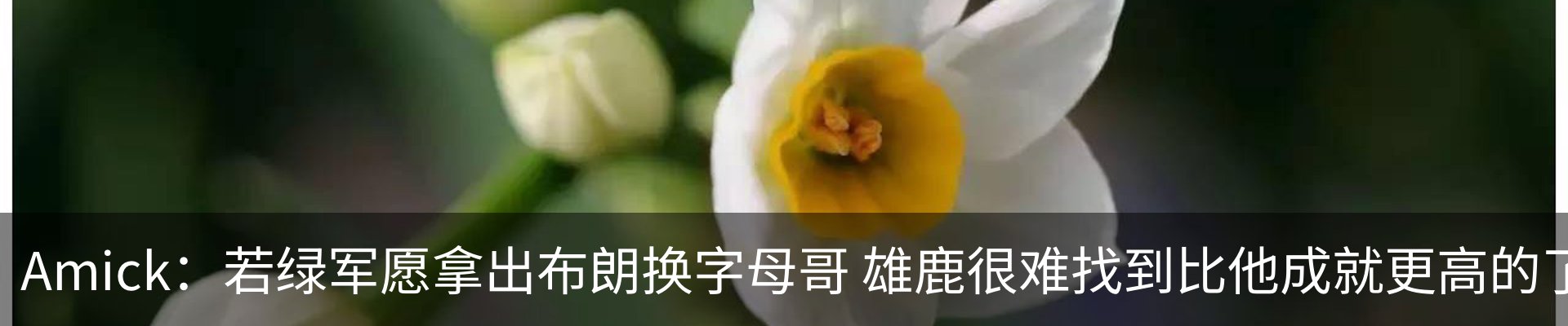 内页banner